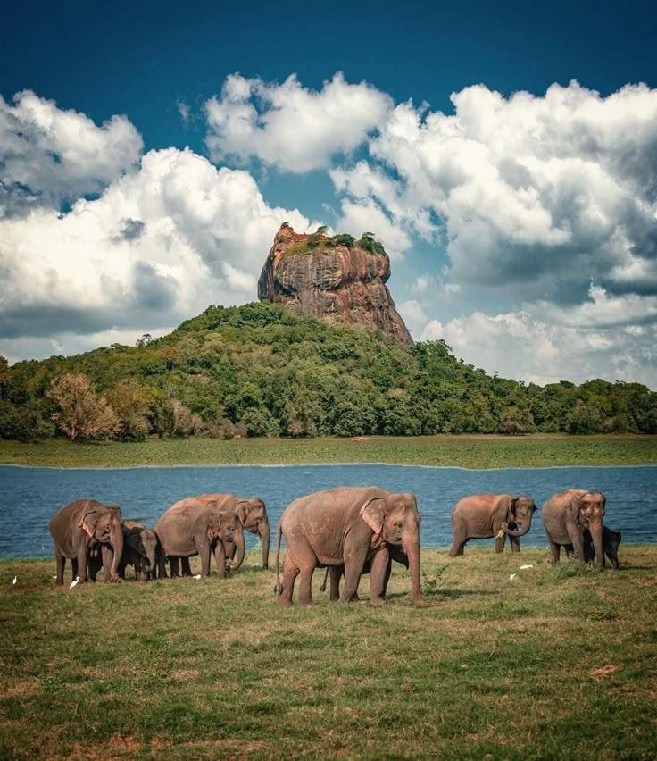 Sigiriya Rock